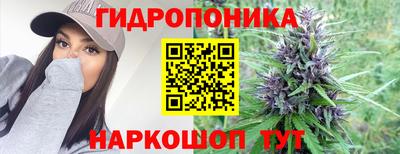 гидра Будённовск