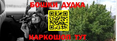 гидра Будённовск