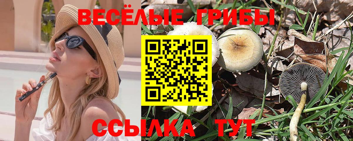 Галлюциногенные грибы GOLDEN TEACHER  Псилоцибиновые грибы Psilocybine cubensis  Первоуральск  Вход с VPN 